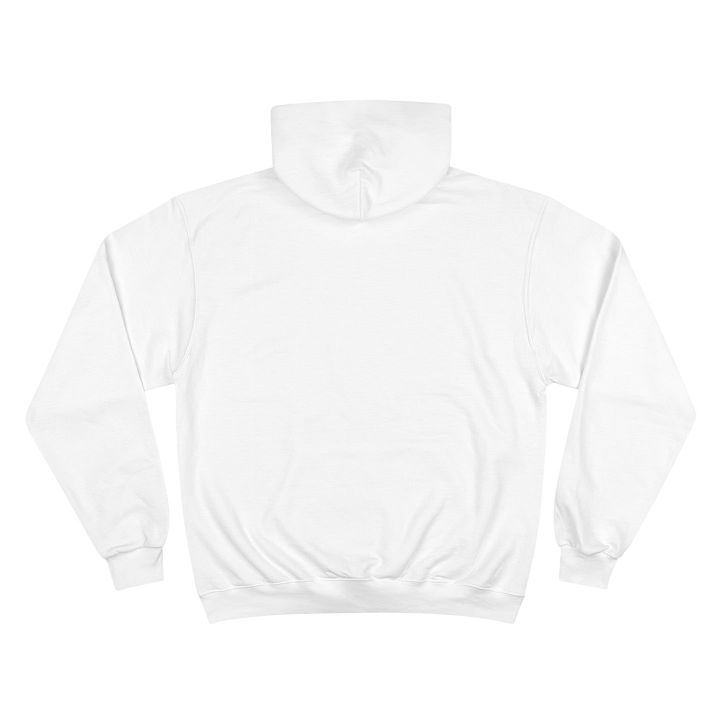 Pirates on a Boat 2.0 - Champion Hoodie