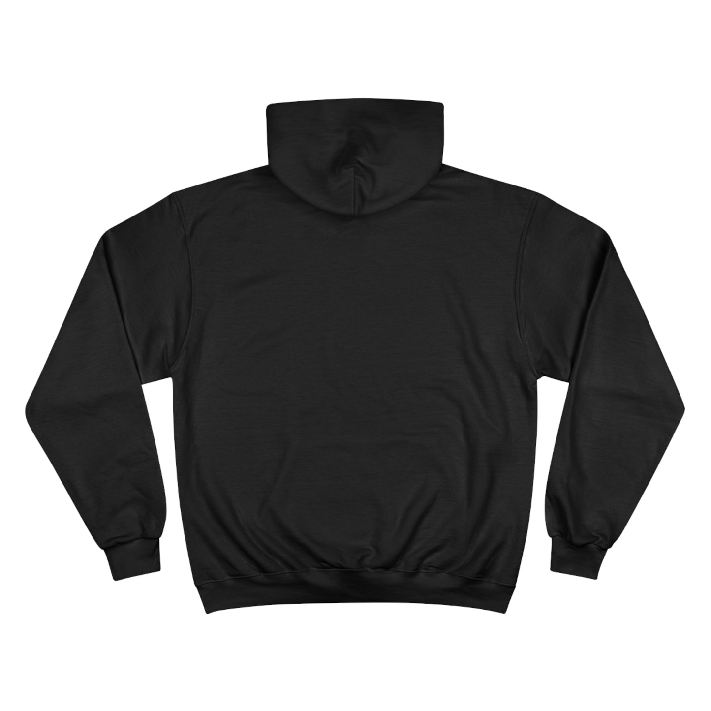 Pirates on a Boat 2.0 - Champion Hoodie